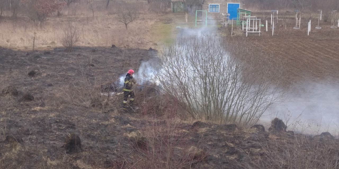Під час пожеж в екосистемах на Вінниччині згоріло два гектари сухої трави