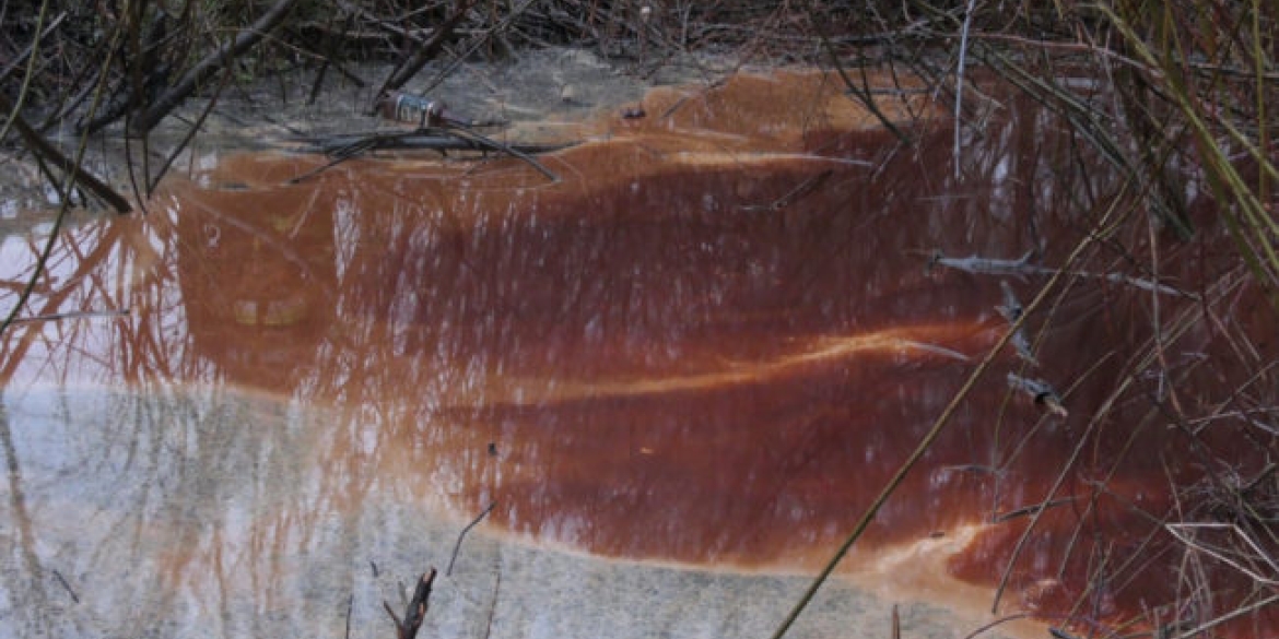 Більше 1 га. Екологи виявили пляму на річці Південний Буг Степашки