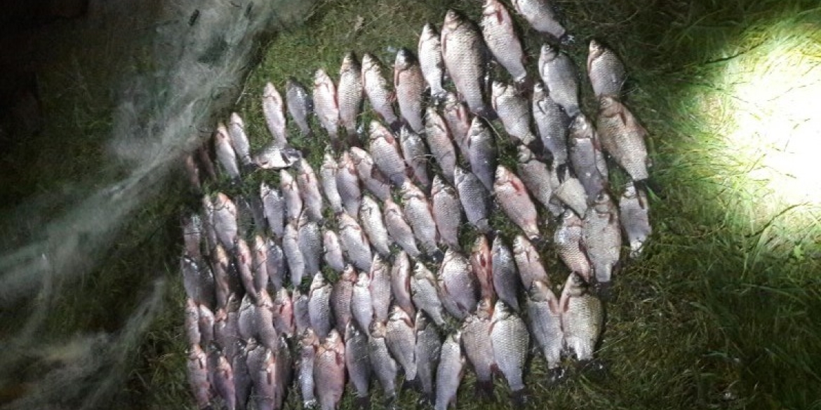 Поблизу Бару спіймали молодика, який наловив риби на понад 150 тис. грн