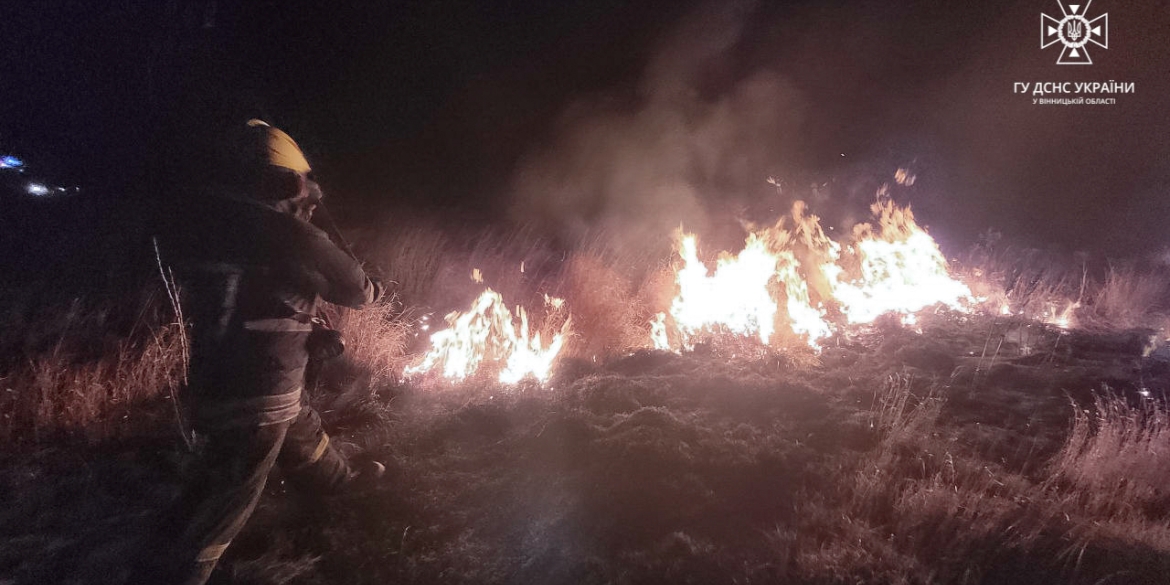 Поблизу Тульчина через необережне поводження з вогнем загорілась трава