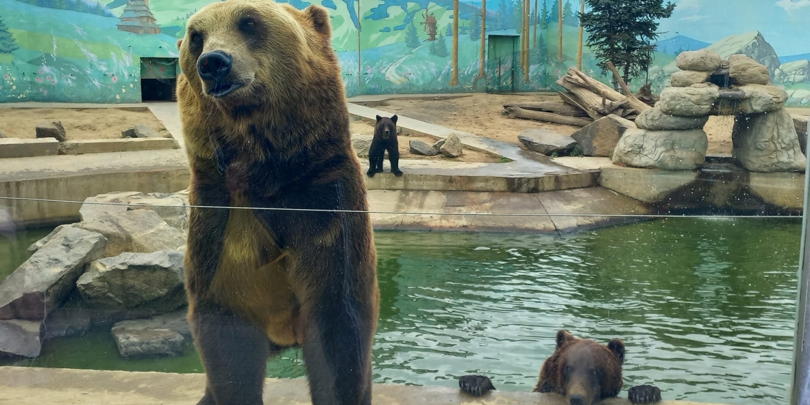 Подільский зоопарк у Вінниці з 30 жовтня працюватиме на годину менше