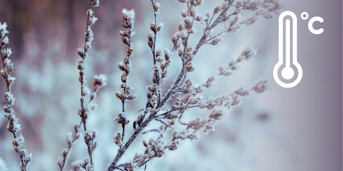 Погода на 7 грудня синоптики попередили вінничан про похолодання