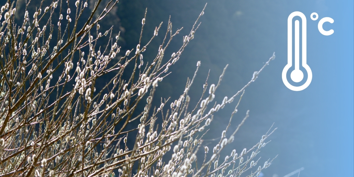 Погодні сюрпризи березня вночі у Вінниці ще й досі відчуватимуться морози
