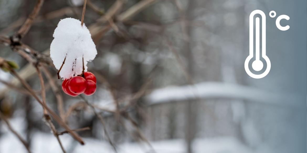 Погоду у Вінниці сформує циклон 14 лютого буде тепло, хмарно та без опадів