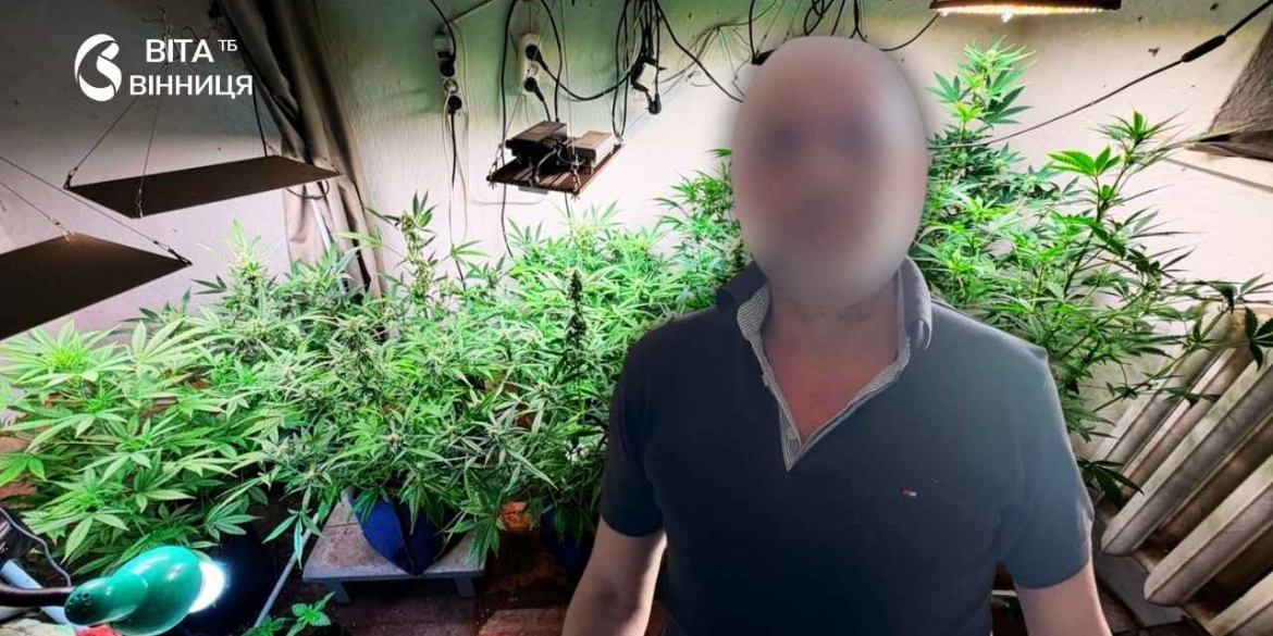 Поліція викрила плантацію коноплі у дворі мешканця Хмільницького району
