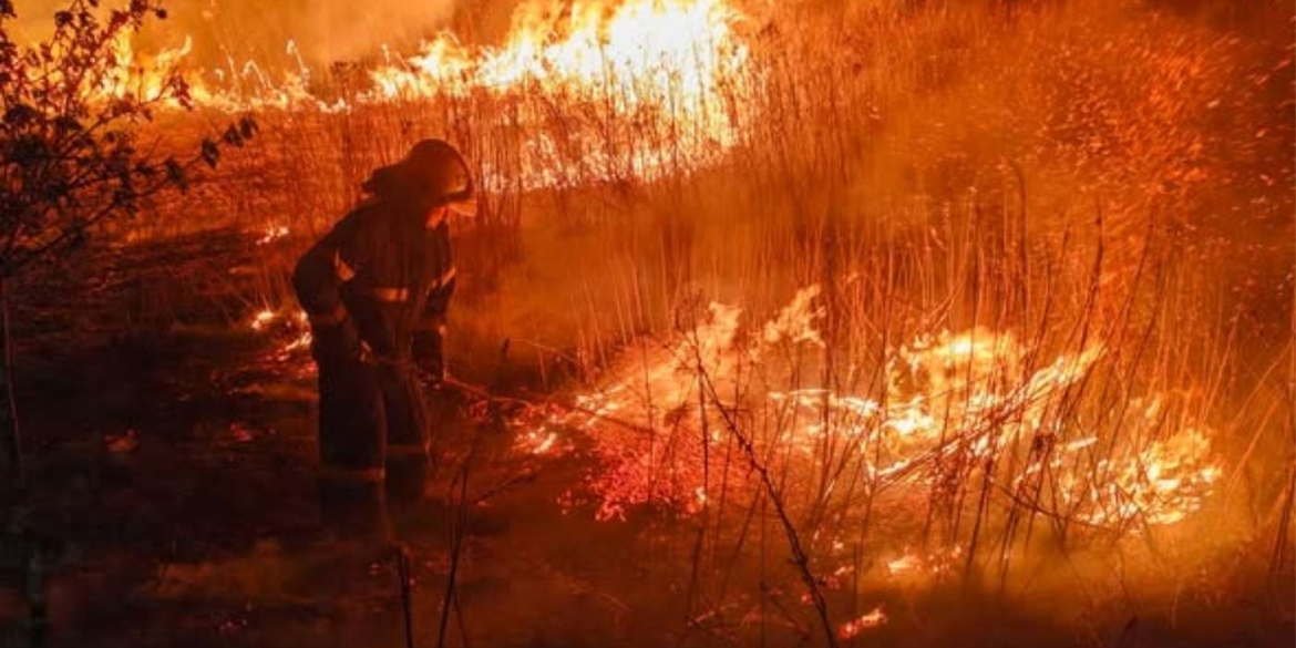 Понад 180 гектарів попелу рятувальники Вінниччини б’ють на сполох через масові пожежі в області