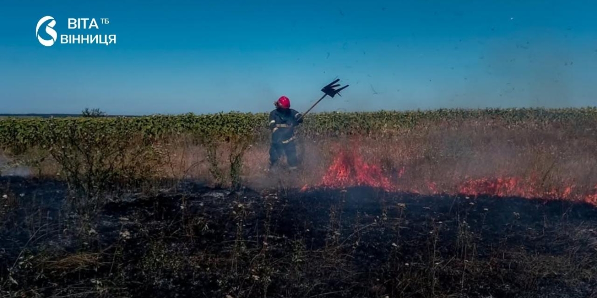 Понад 4 гектари вигоріло через спалювання сухої трави на Вінниччині