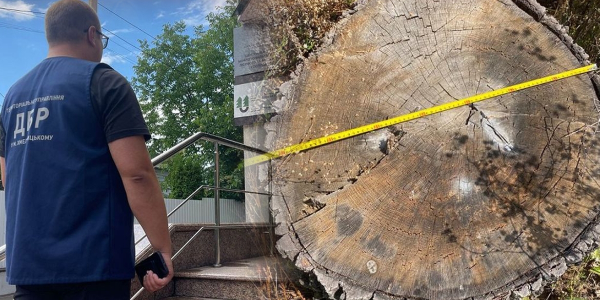 Понад 50 млн грн збитків через вирубку дерев - судитимуть посадовців на Вінниччині