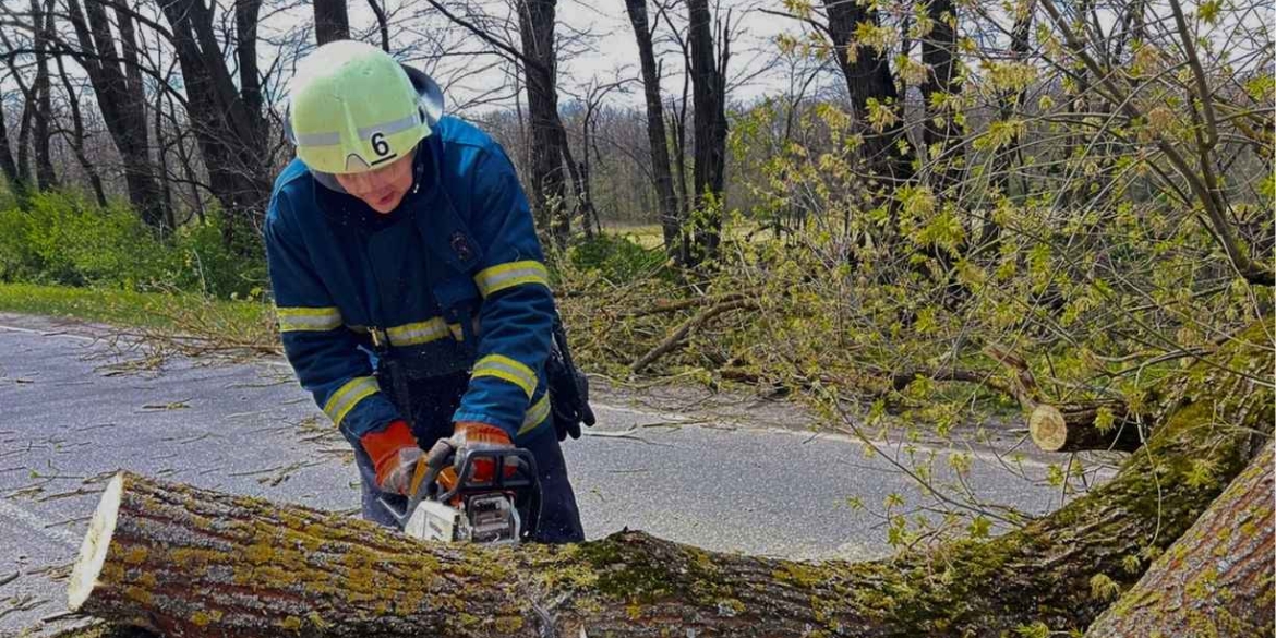 Понад 50 виїздів рятувальників за день негода заблокувала дороги на Вінниччині
