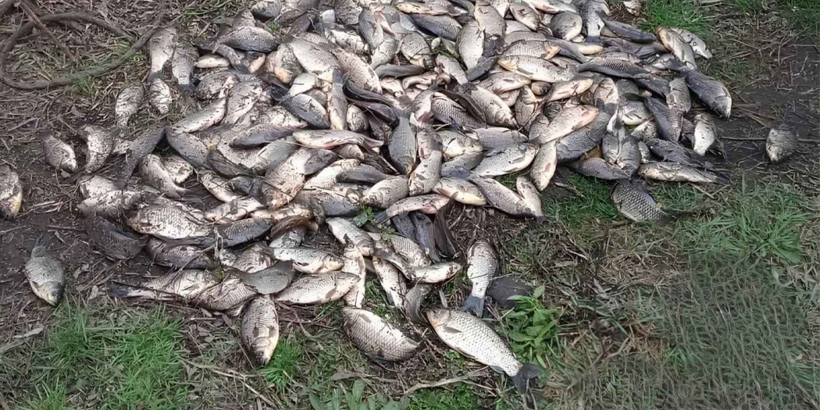 Понад 60 кг незаконного улову поліція Вінницької області масового викриває порушників на водоймах