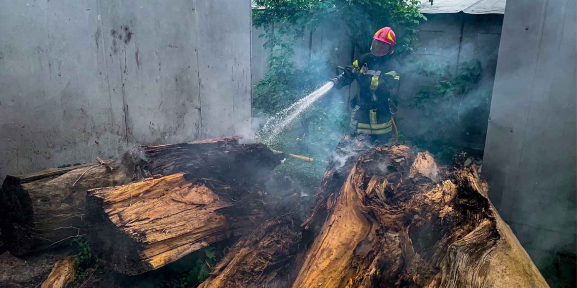Понад пів тисячі пожеж з початку року на Вінниччині продовжує горіти земля