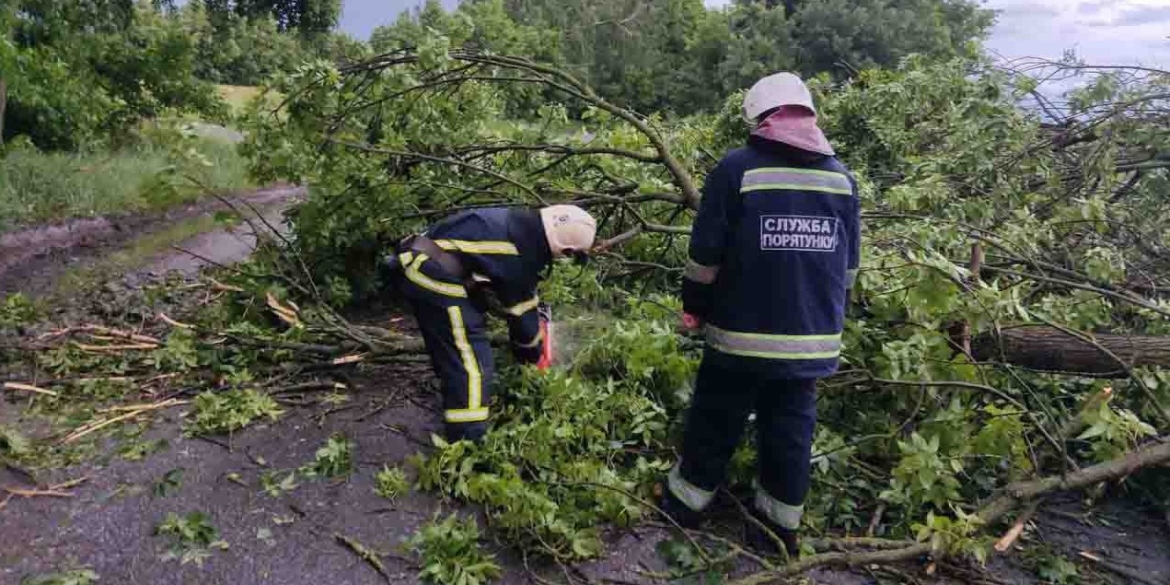 Понад три десятки дерев повалив сильний вітер на Вінниччині