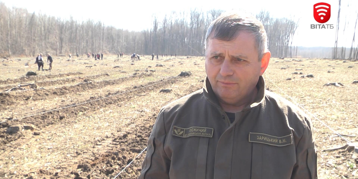 Попри воєнний стан лісівники Вінниччини продовжують працювати у звичайному режимі