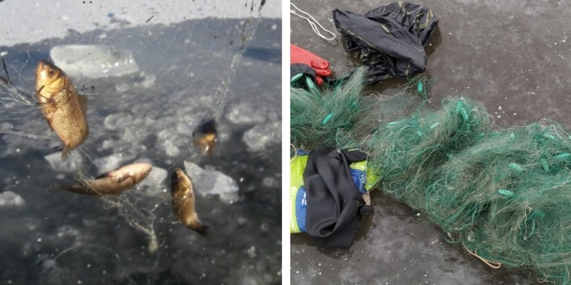 За тиждень на Вінниччині виявили 25 порушень правил риболовлі