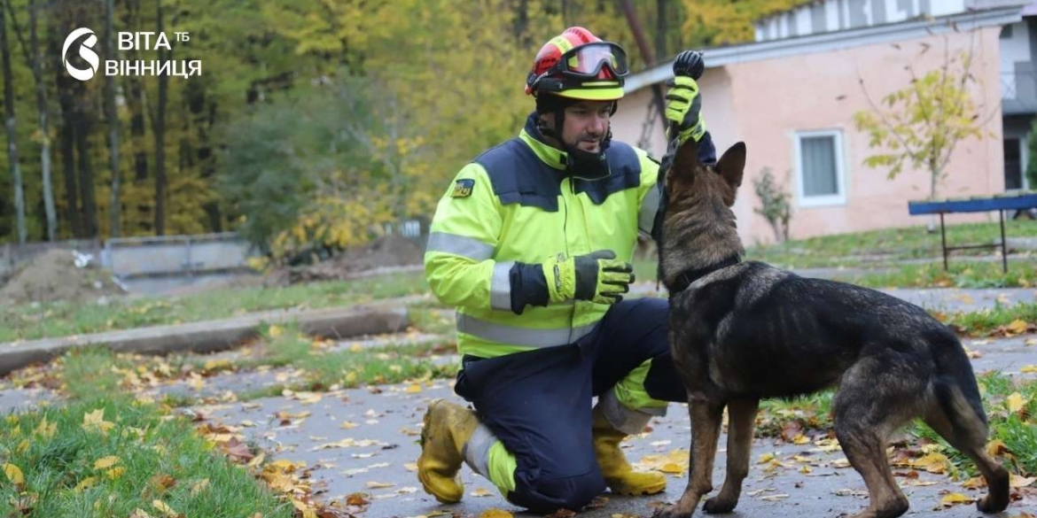 Пошук під завалами службові собаки поліції та рятувальників Вінниччини тренувалися разом