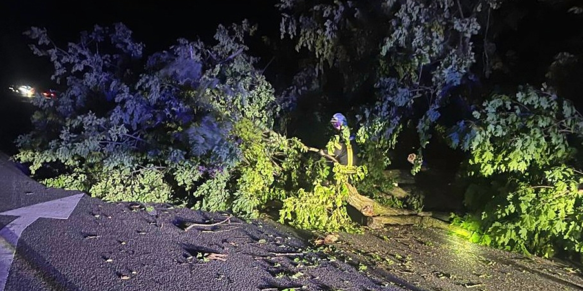 Повалене дерево перекрило рух дорогою на Літинщині