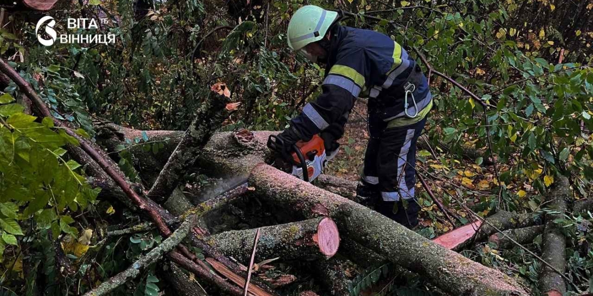 Повалені дерева перекрили дороги у трьох громадах і Вінниці рятувальники розчищали проїзд