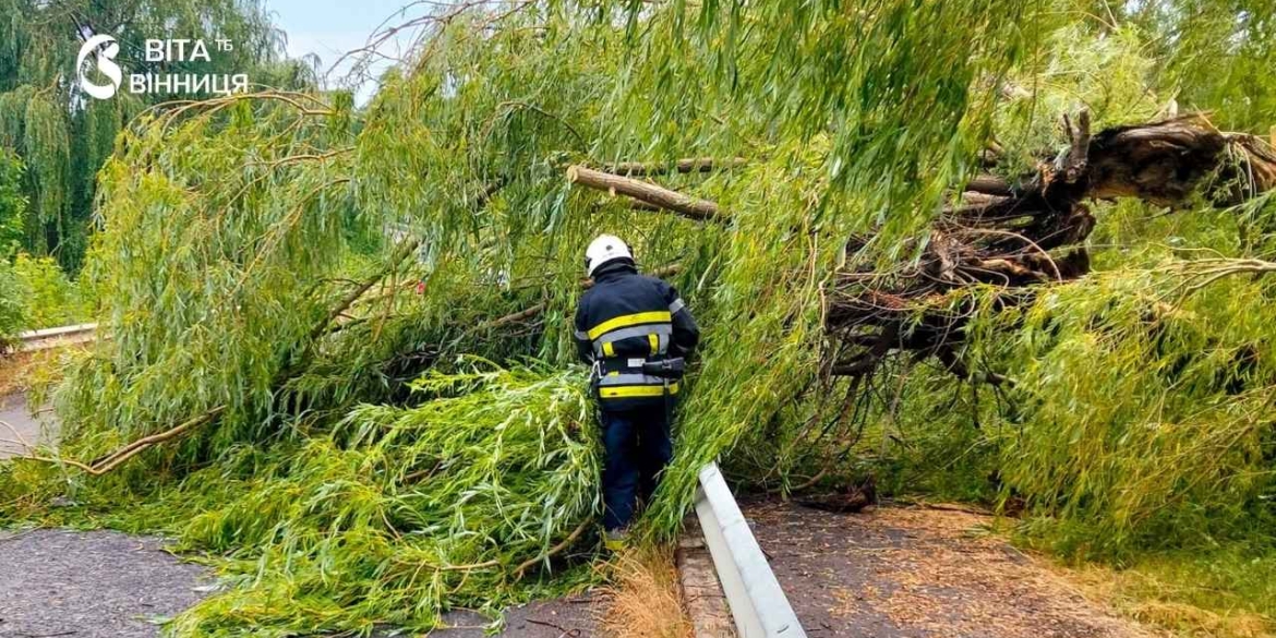  Повалені дерева та пошкоджений дах на Вінниччині ліквідували наслідки шквального вітру