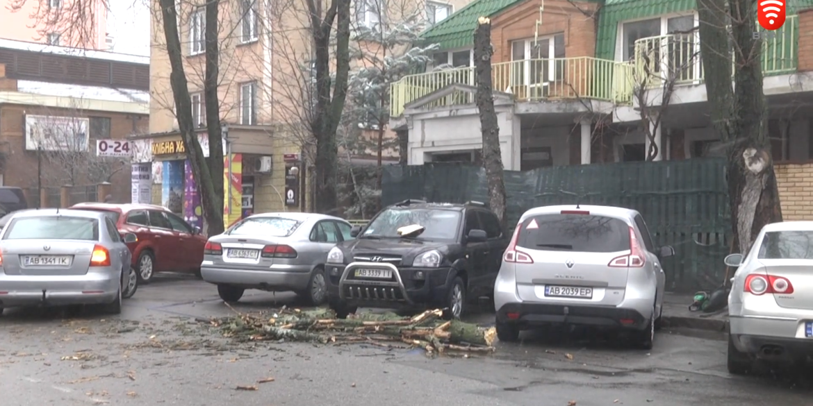 Повалені дерева та відключення світла. Наслідки негоди на Вінниччині