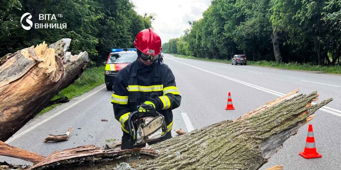 Повалені дерева та затоплені двори негода знову випробувала Вінниччину на міцність