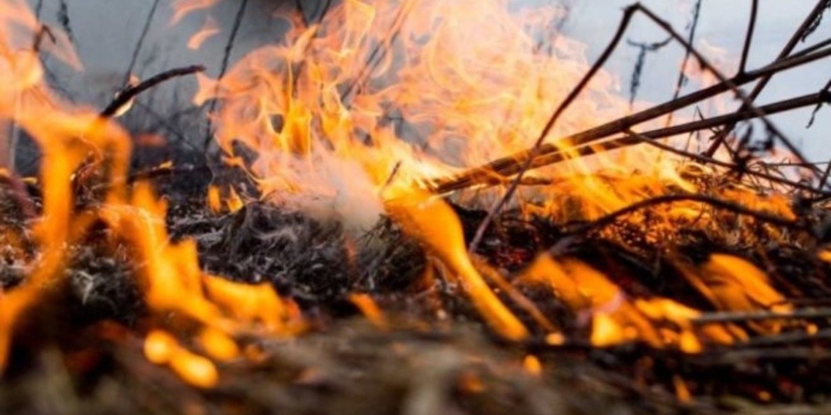 В Калинівці згоріло майже 80 кв.м очерету через необережність із вогнем