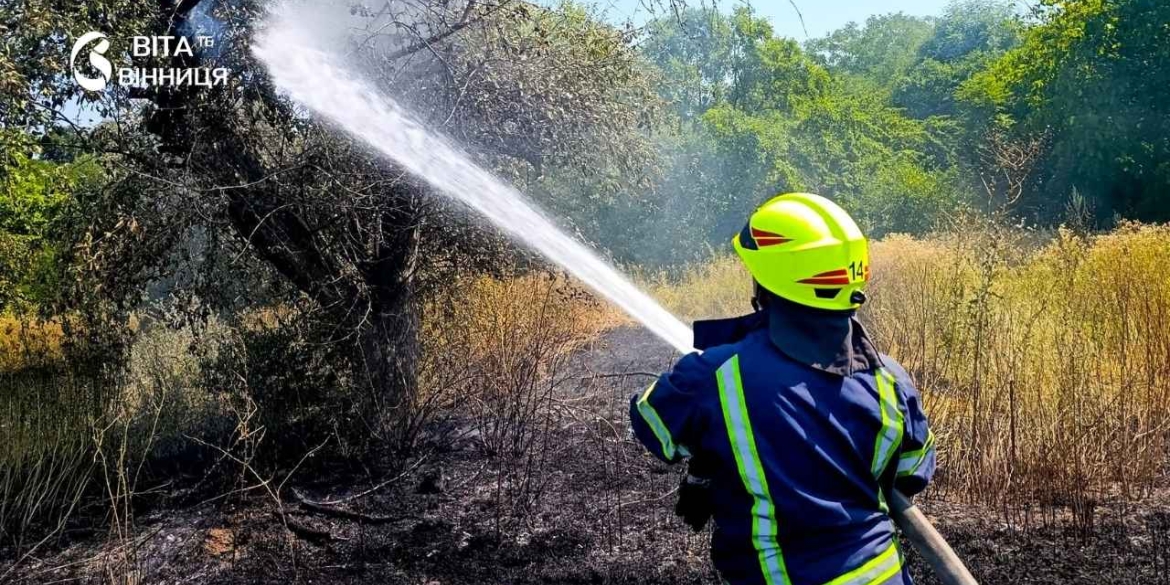 Пожнивні залишки, суха трава та сміття чому на Вінниччині щодня горить земля
