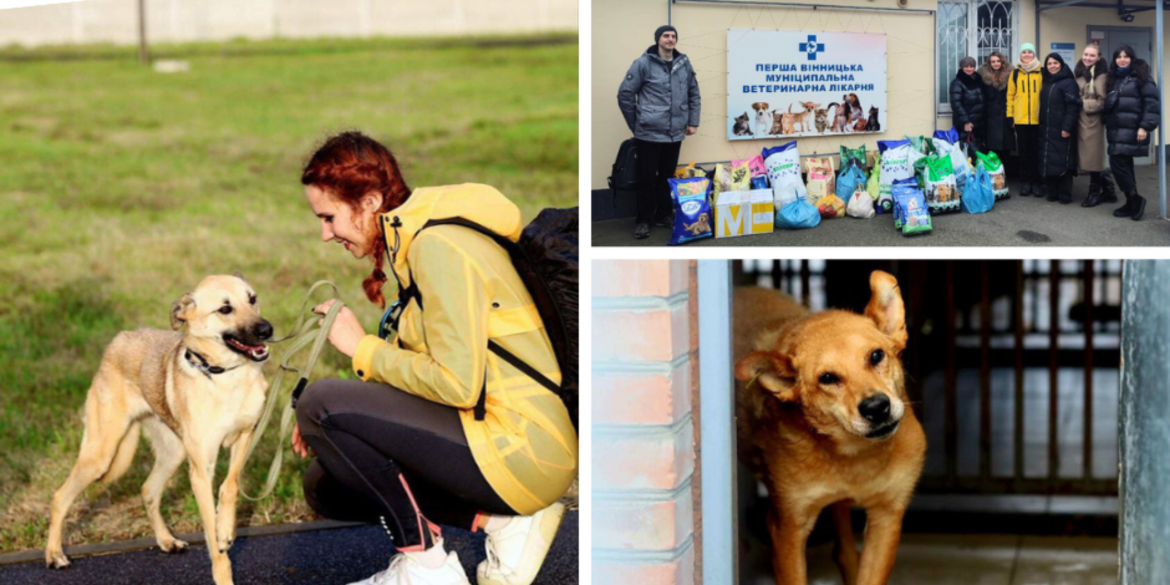 Працівники Вінницької міськради допомагають Муніципальному притулку для тварин
