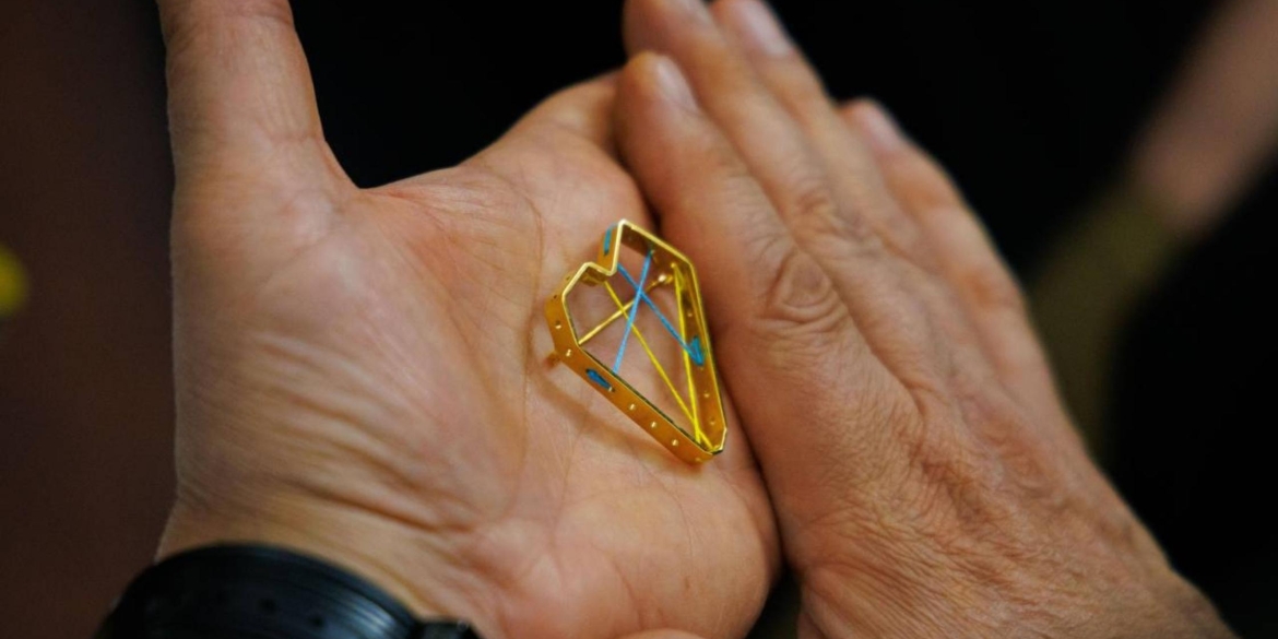 Президент нагородив трьох вінницьких волонтерів відзнакою Золоте серце