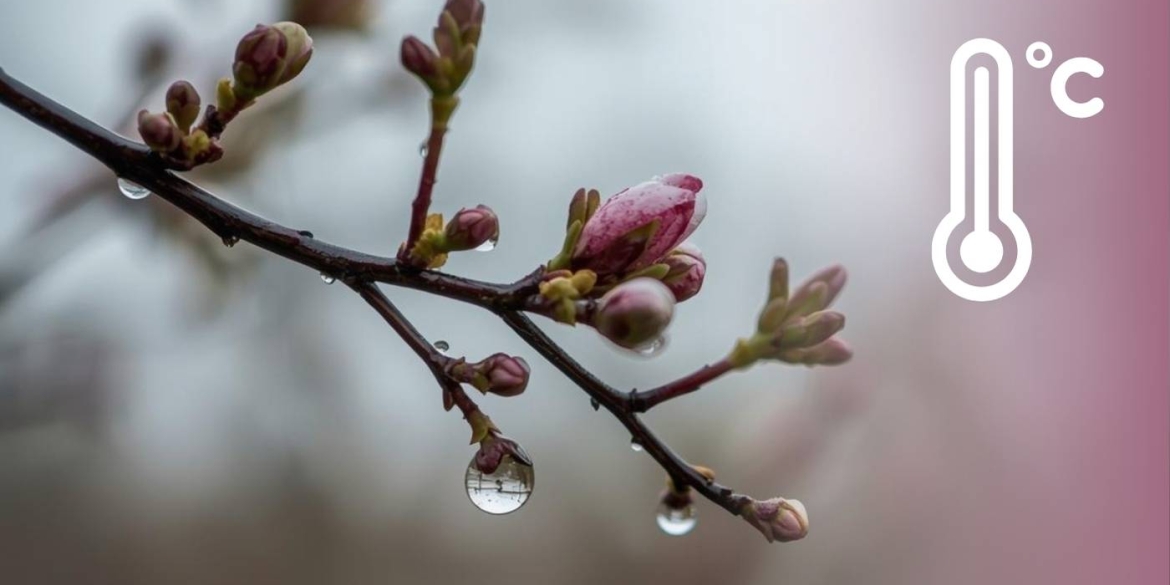 Прохолодно і дощі: чи довго протримається така погода на Вінниччині