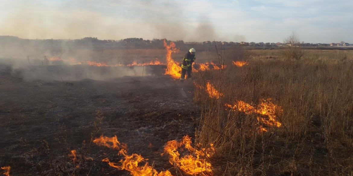 Протягом вихідних рятувальники Вінниччини загасили 17 пожеж в екосистемах
