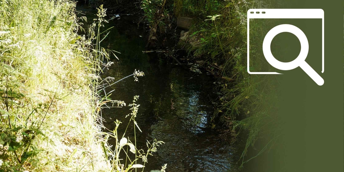 Проєкт “Малі річки Вінниці” тепер має власний сайт