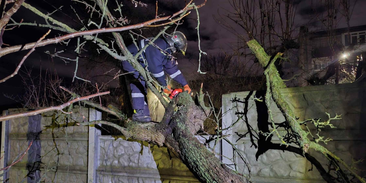 Прибирали повалені дерева з автошляхів трьох районів та у Вінниці