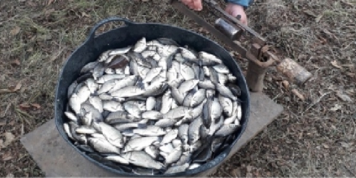 Ще дві тонни: Сутиське водосховище поповнили рибою 