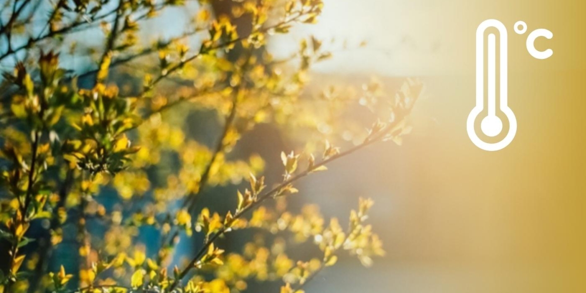 Різке похолодання та поривчастий вітер погода випробовує вінничан на міцність