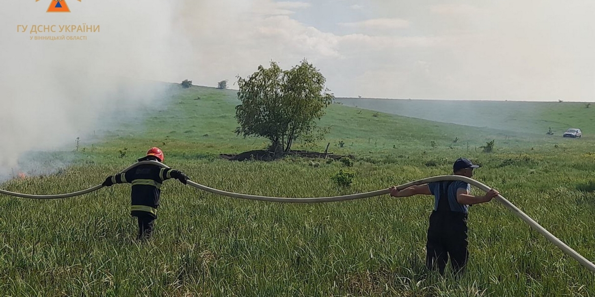 Рятувальники ліквідували десять пожеж в природних екосистемах області