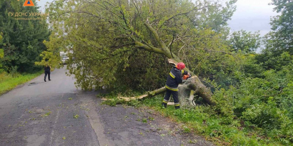 Рятувальники прибирали повалені дерева з доріг Вінницької області