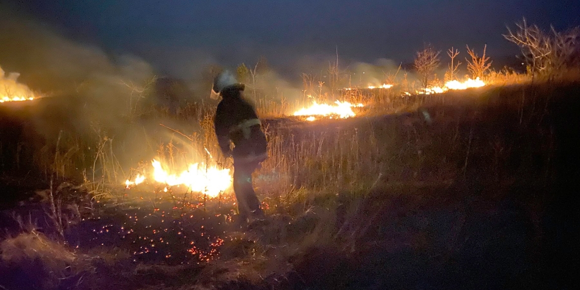 Рятувальники п'ять разів виїжджали на ліквідацію загорянь в екосистемах Вінницької області