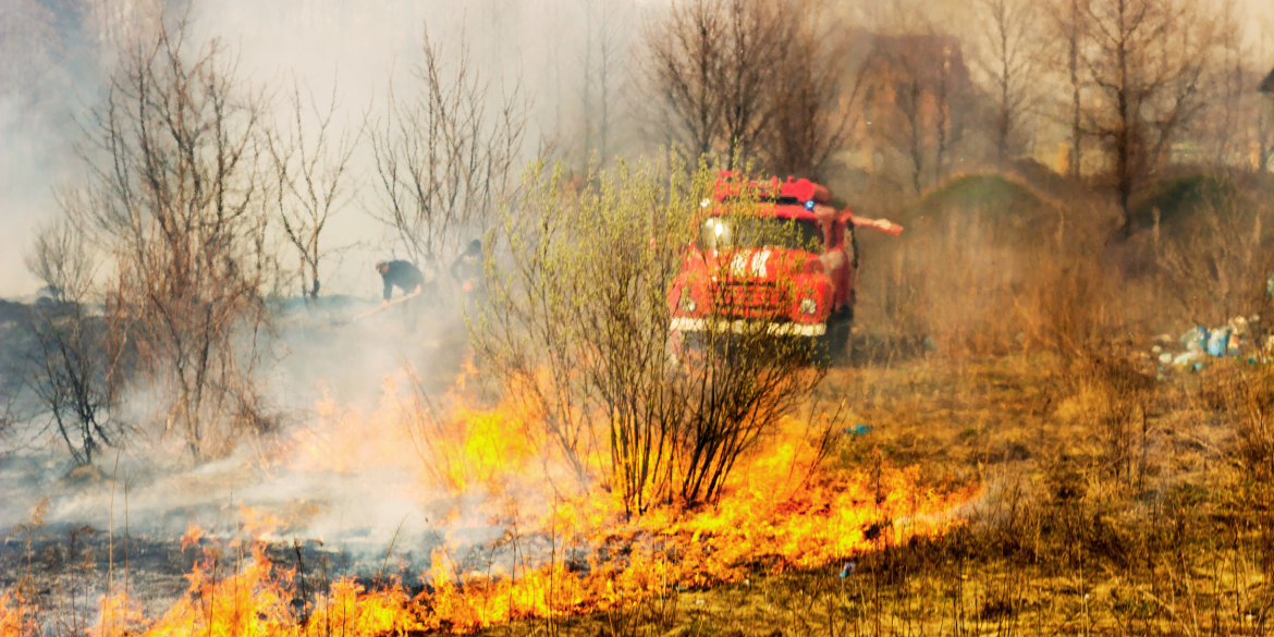 Рятувальники Вінниччини 10 разів ліквідовували пожежі в природних екосистемах
