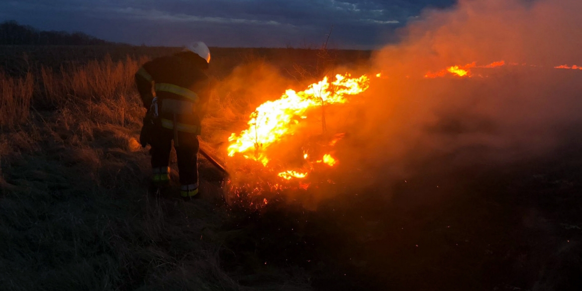 Рятувальники Вінницької області шість разів виїжджали гасити вогонь в екосистемах