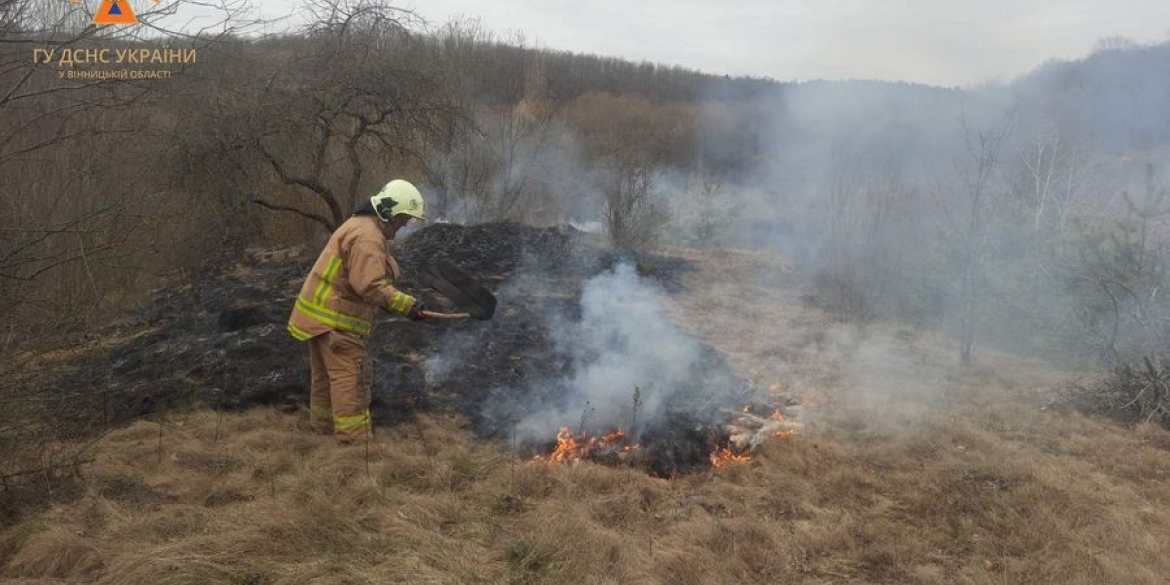 Рятувальники закликають вінничан не провокувати пожежі в екосистемах