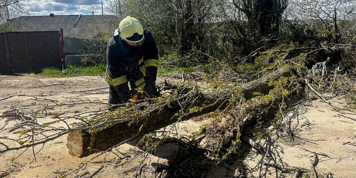Рятувальники розчищали автошляхи від повалених дерев у двох районах Вінницької області