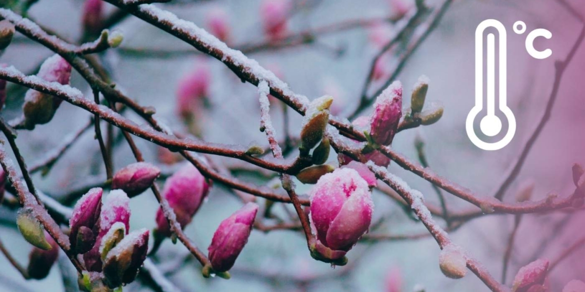 Сади під загрозою синоптики дали тривожний прогноз для мешканців Вінниці та області