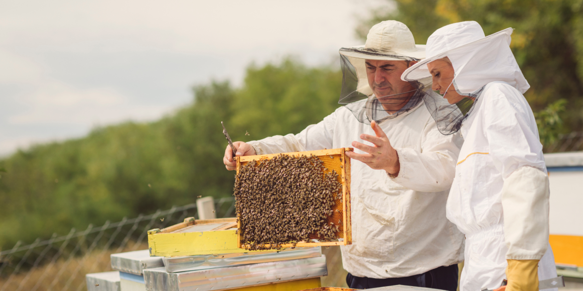 Ще двоє бджільників отримають компенсацію від Вінницької громади