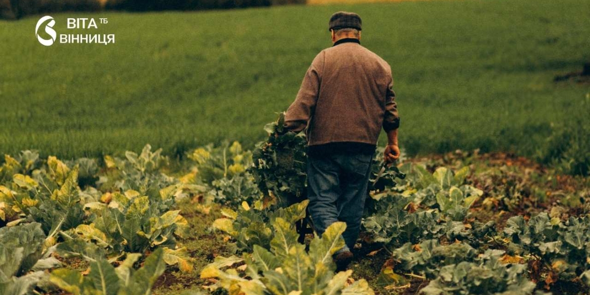 Ще три фермери й шестеро пасічників отримають підтримку від Вінницької міськради