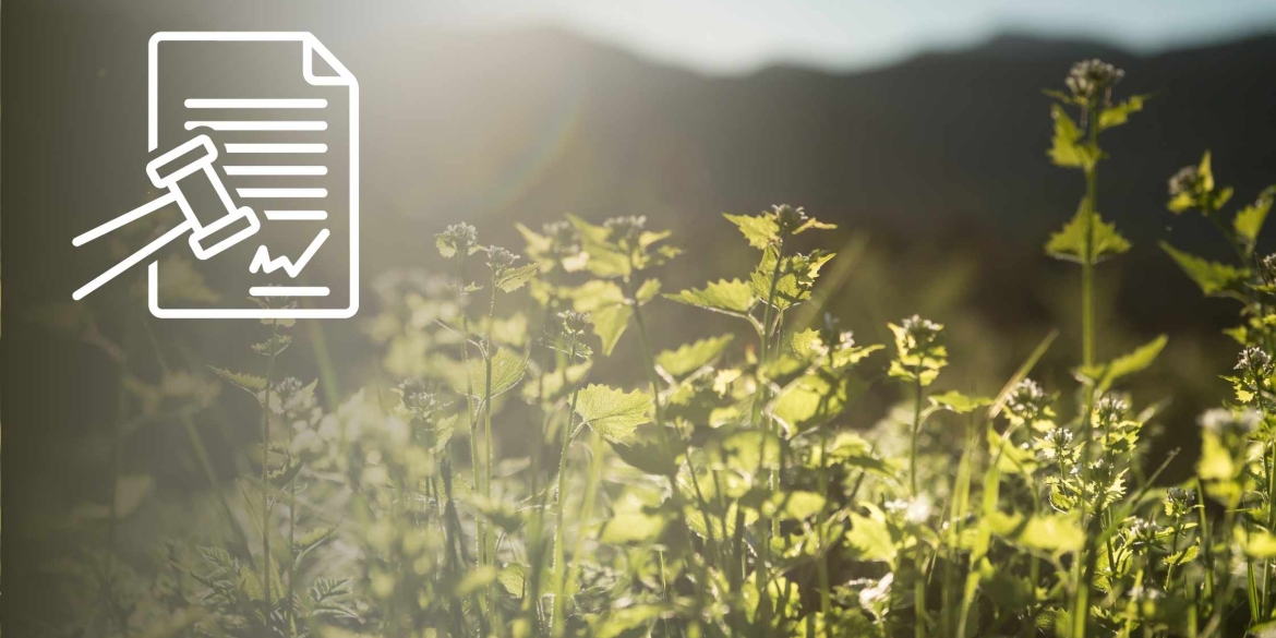 Щоб зберегти рідкісні види рослин, вінницька прокуратура звернулась до суду