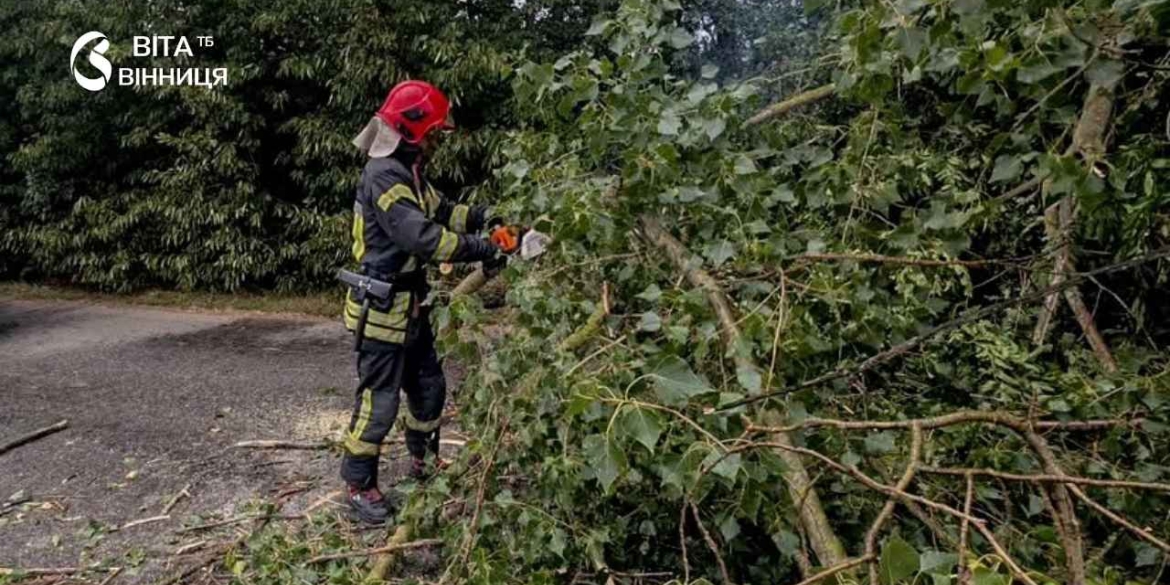 Шість виїздів за добу рятувальники Вінниччини розчищали дороги від повалених дерев