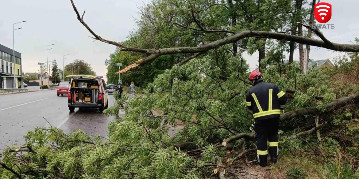 Сильні пориви вітру завдали шкоди на автошляхах Вінниччини