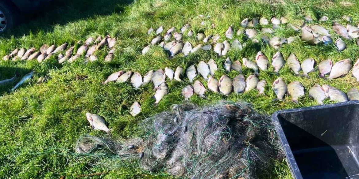 Сітки, 80 кг риби та загроза в'язниці на Південному Бузі викрили браконьєра