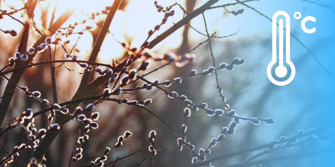 Скільки днів ще протримаються на Вінниччині нічні морози — синоптики дивують прогнозами
