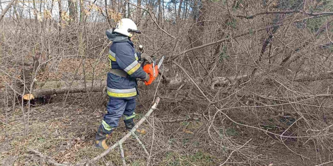 Сьогодні, 21 лютого, сильний вітер повалив чимало дерев у Вінниці та області